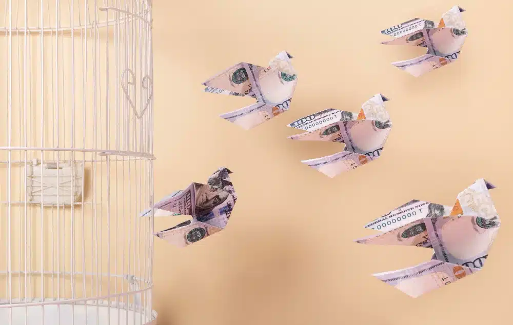 Origami de pájaros hechos con billetes de dólar escapando de una jaula blanca, simbolizando la huida del control financiero, ideal para representar el impacto de los fondos buitre en España.